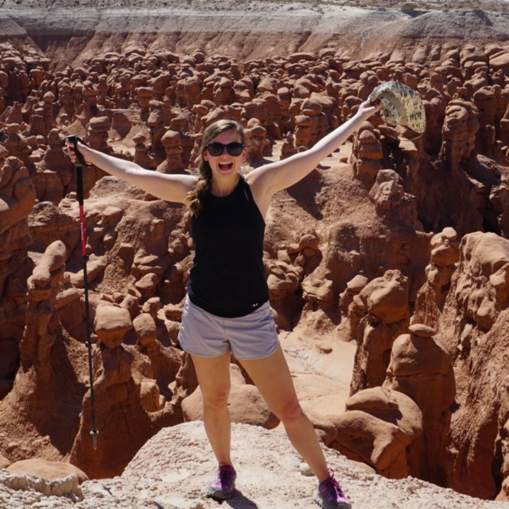 Meet your Posher, Tabby